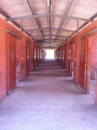 Need stables/boxes to rent